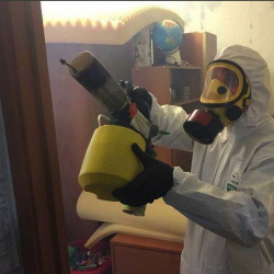 Уничтожение клопов в квартире. Киреевск